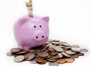 piggy bank Piggy Bank